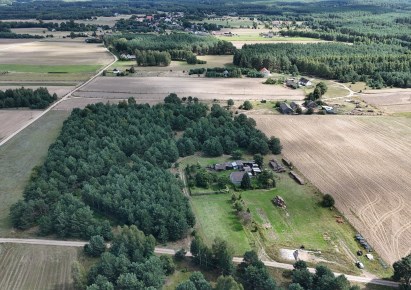 działka na sprzedaż - Warlubie, Lipinki